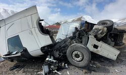 Yüksekova'da İran Tırı Yolda Kaza Geçirdi: 1 Kişi Yaralandı