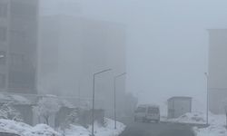 Yüksekova'da Sis, Göz Alıcı Manzaralar Oluşturdu