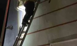 Yüksekten Düşen Yavru Kedi İtfaiye Tarafından Kurtarıldı