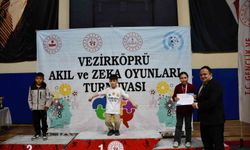 Zeka Oyunları Yarışması