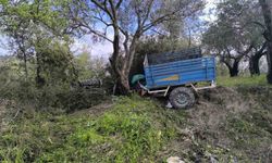 Zeytinlikte Uçan Patpatın Sürücüsü Hayatını Kaybetti