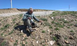 17 yeni kör fare türü tanımlandı