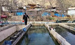 300 bin balık telef oldu; Genç girişimci zorluklarla savaşıyor