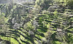 60 yıllık taş ustalığıyla büyüyen miras