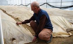 76 yaşındaki Bayburtlu çiftçi ata tohumlarını korumak için donla savaşıyor