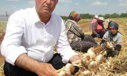 AB Tescilli Araban Sarımsağı dünya devleri arasında 5'inci seçildi