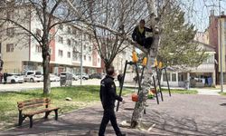 Ağaca tırmanan çocuk, topunu almak için itfaiyeden yardım istedi