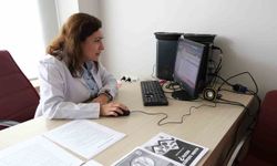 Ağrı Yönetiminde Bitkisel Çözümler Kitabı Yayınlandı