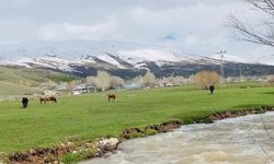 Ağrı'da iki mevsim bir arada yaşıyor