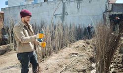 Ahlat'ta fidan satışlarına yoğun talep