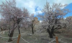 Akdamar Adası'nda bahar coşkusu