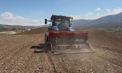 Akıncılar Belediyesi, nohut ekimini başlattı