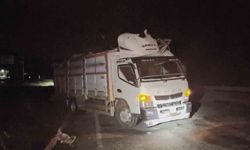 Alaca'da hafif ticari araç kamyona çarptı: 3 yaralı