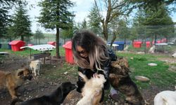 Altıeylül'de Hayvanlara Önemli Yardım