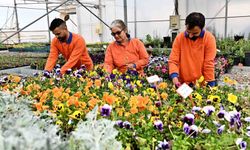 Antalya'da Çiçek Desenleri Günleri için 130 bin dal çiçek hazırlanıyor