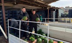 Antalya'da kışın ilk karpuz hasadı gerçekleşti