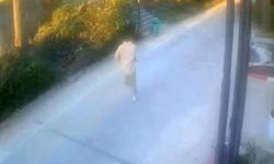 Antalya'daki eğlence mekanına ateş açan zanlı yakalandı