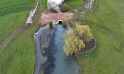 Apsıngır Ovası'nın yeşil manzarası doğaseverleri büyülüyor