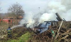 Araç yangını odunluğa sıçradı