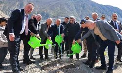 Artvin'de 450 Adet Butko Zeytini Fidanı Toprakla Buluştu