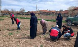 Aslanapa'da çiftçilere eğitim ve uygulama çalışmaları yapıldı