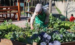 Ataşehir Kent Bostanları'nda yeni bir dönem heyecanı başlıyor