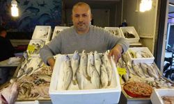 Av yasağı Akdeniz'de başlamak üzere