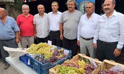 Avşar Üzümü coğrafi işaretle onaylandı