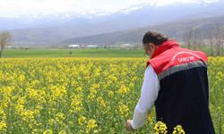 Ayçiçeği ve kuru fasulye tohumları üreticilere ulaştı