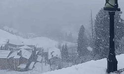 Ayder Yaylası'nda bahar ortasında kar sürprizi