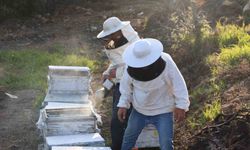 Aydın'da arıcılığın geleceği parlak, sezon için umutlar artıyor