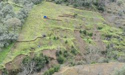 Aydın'da Sağanak Yağışlar Heyelana Yol Açtı