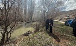 Aydıntepe'de köylerin durumları yerinde incelendi