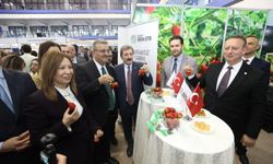 Bafra standına büyük ilgi