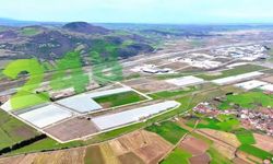 Bafra'da yüksek teknoloji ile tarımda dönüşüm: Karadeniz'de başarı hikayesi