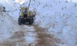 Bahar Mevsimi Yurtta Hüküm Sürerken, Ovacık'ta Kış Şartları Devam Ediyor