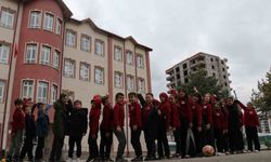 Baharın simgeleri leylekler bu yıl geri dönmedi, öğrenciler yollarını gözlüyor