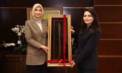 Bahşılı Kaymakamlığından kadınların güçlenmesine yönelik örnek proje