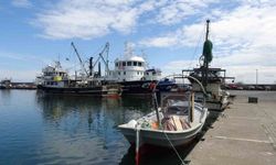 Balık Sezonunda Bereket: Bu Yıl Halk Balığa Doydu