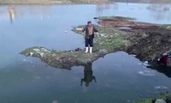 Baraj sularının köye ulaşmasıyla buzağı telef oldu