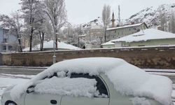 Başkale'de nisan ayı kar yağışı etkili oldu