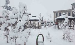 Başkale'de yoğun kar yağışı