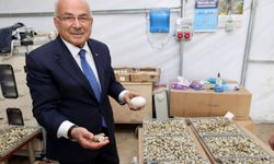 Başkan Güler: 'Fatsa'da üretim devrimi gerçekleştiriyoruz'