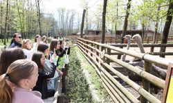 Batı Trakya'dan 82 öğrenci Kocaeli'de ağırlandı