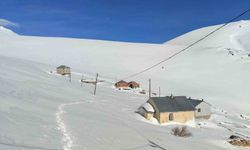 Bayburt'ta Ayı Saldırıları Devam Ederken Ulaşım Sorunu Çözümsüz Kaldı