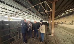 Bayburt'taki tuğla üretim tesisi denetlendi