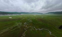 Benli yaylasındaki menderesler drone ile görüntülendi