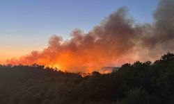 Beykoz'da orman yangını yeniden alevlendi: Müdahale sürüyor