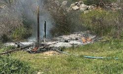 Bilecik'te otluk alanda yangın paniği yaşandı