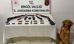 Bingöl'de yasa dışı silahlar bulundu